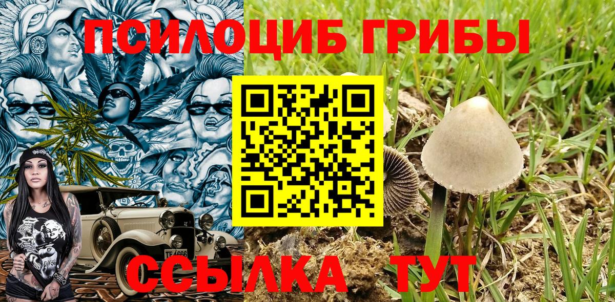 Алапаевск  Галлюциногенные грибы прущие грибы  цены   Вход с VPN 