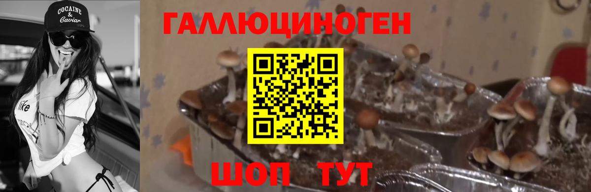 Галлюциногенные грибы мицелий Алапаевск
